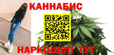 индика Донецк