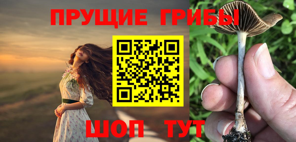 Мирный  Псилоцибиновые грибы мухоморы  Вход с VPN 